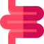 Colon ícono 64x64
