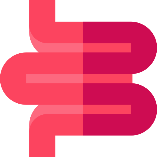 Colon icon