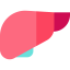 Liver Symbol 64x64