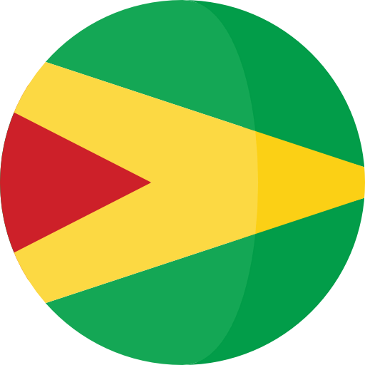 Guyana icon