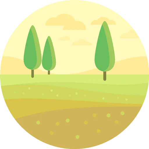 Fields 상