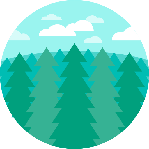 Spruce icon
