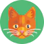 Кот иконка 64x64