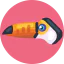 Toucan icon 64x64