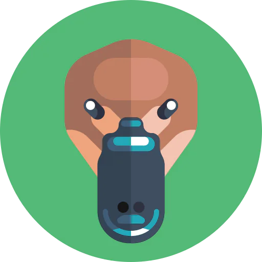 Duck icon