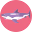 Shark icon 64x64