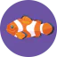 Fish 상 64x64