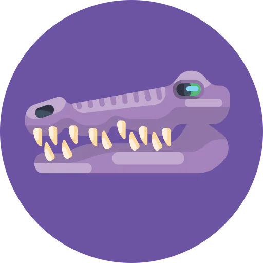 Crocodile icon
