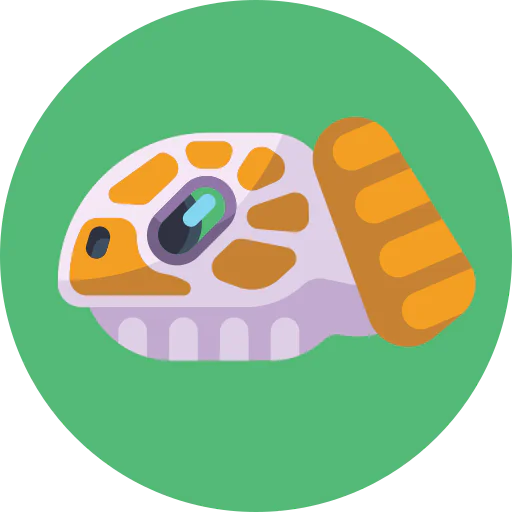Turtle icon