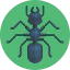 Ant icon 64x64