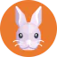 Rabbit іконка 64x64