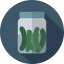 Pickles іконка 64x64