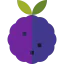 Blackberry іконка 64x64