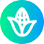 Corn icon 64x64