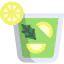 Mojito icon 64x64