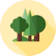 Forest Symbol 64x64