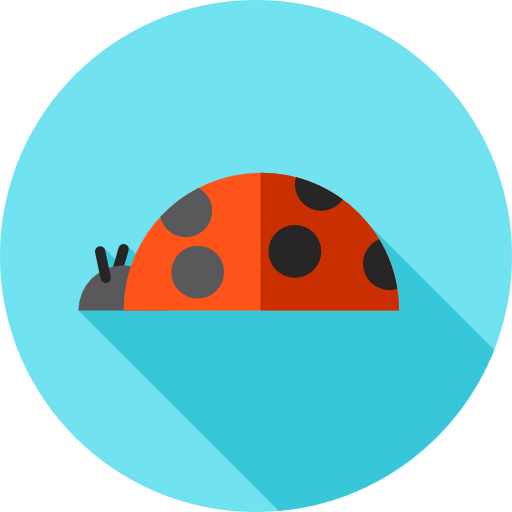 Ladybug icon