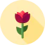 Rose icon 64x64
