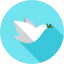 Dove icon 64x64
