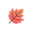 Leaf icon 64x64
