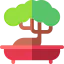 Bonsai іконка 64x64