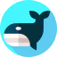 Whale icon 64x64