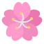 Sakura アイコン 64x64