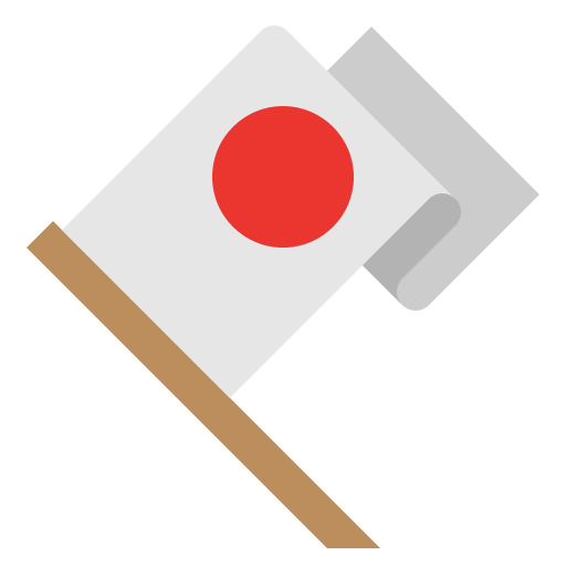 Flag icon
