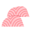 Salmon icon 64x64