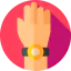 Wristwatch icon 64x64