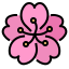 Sakura アイコン 64x64