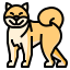Shiba icon 64x64