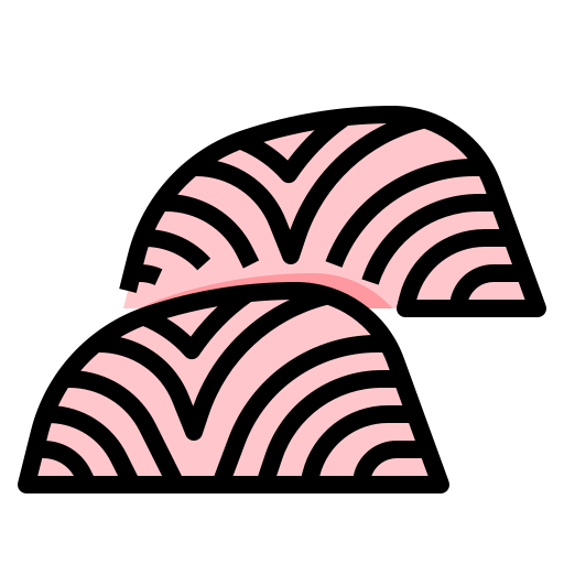 Salmon icon