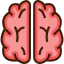 Brain biểu tượng 64x64