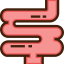 Intestine icon 64x64