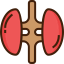 Kidneys Symbol 64x64