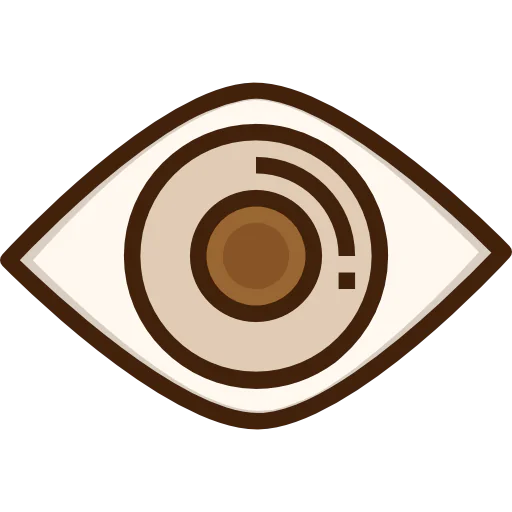 Vision icon