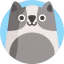 Кот иконка 64x64