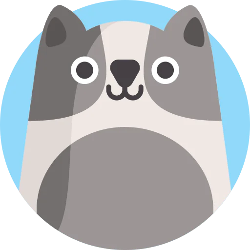 Cat icon
