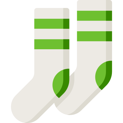 Socks icon