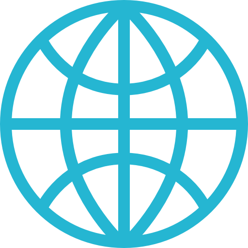 Internet icon