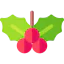 Mistletoe 图标 64x64
