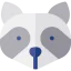 Racoon icon 64x64