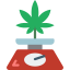 Weight icon 64x64