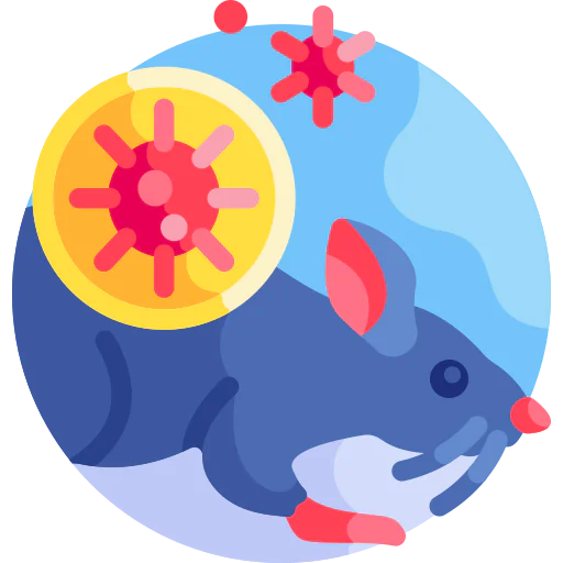 Rat icon