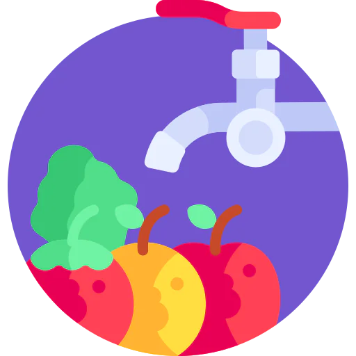 Fruit icon