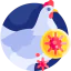Hen icône 64x64