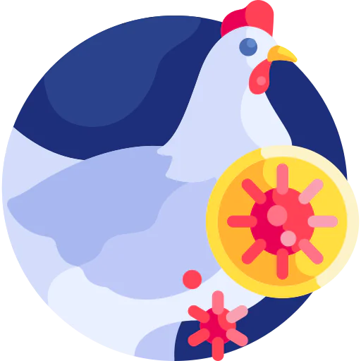 Hen icon
