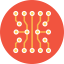 Network Ikona 64x64