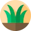 Grass ícono 64x64